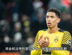 多特蒙德队长疑似受伤，球迷担心战况的简单介绍